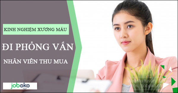 kinh nghiem xuong mau di phong van nhan vien thu mua