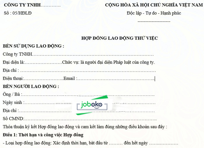 mau hop dong lao dong 1