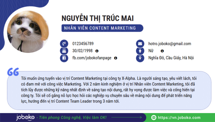 viet muc tieu cong viec trong cv