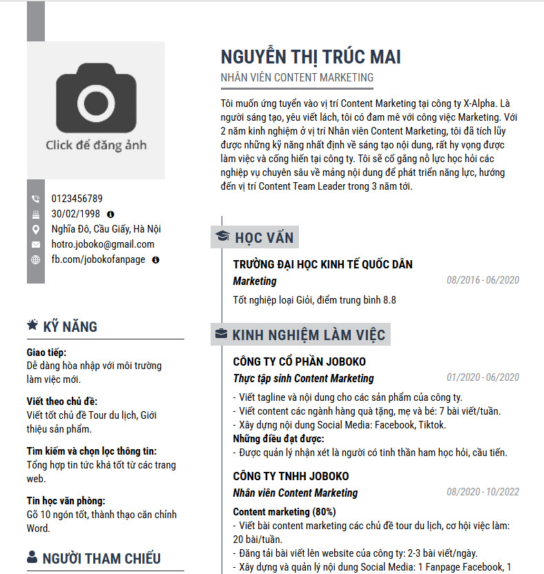 Mẫu CV chuyên nghiệp