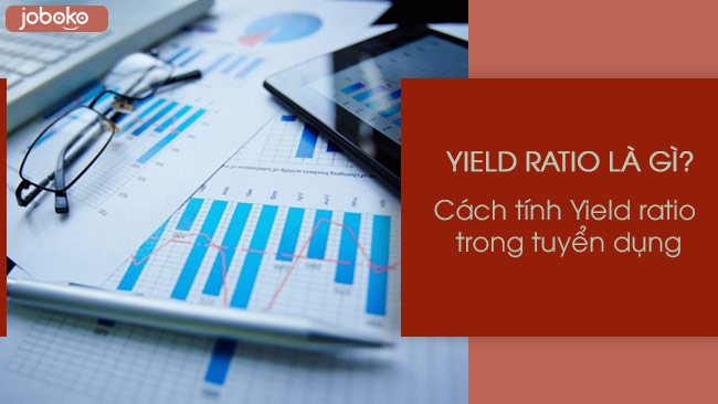 Yield ratio là gì? Cách tính tỷ lệ phần trăm ứng viên ứng tuyển chuẩn