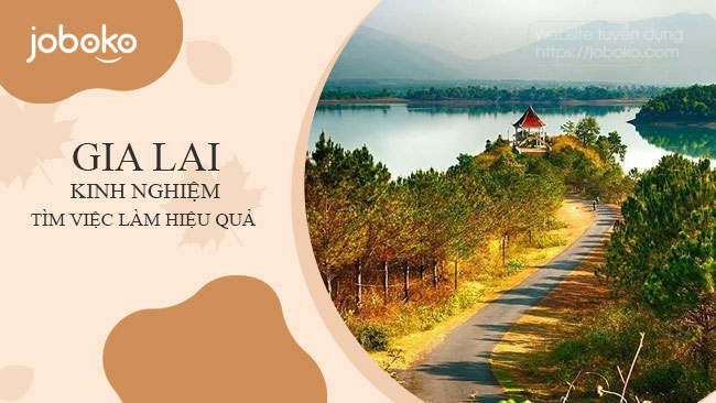 kinh nghiem tim viec lam tai gia lai