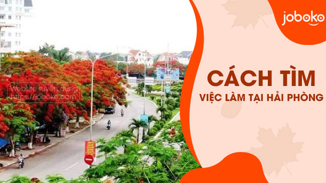 cach tim viec lam o hai phong