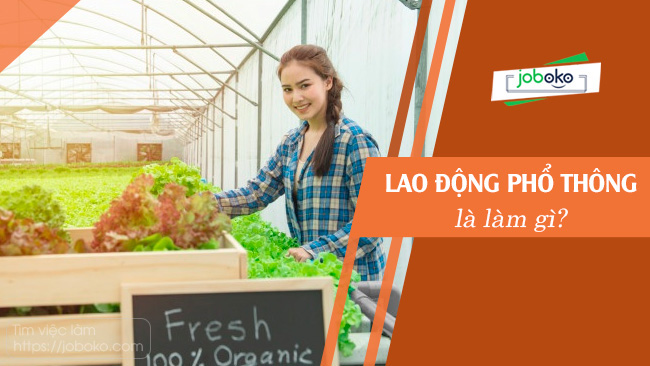 Lao động phổ thông là làm gì? Có những việc làm nào phổ biến?