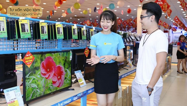 Kinh nghiem phong van xin viec o Dien May Xanh Thegioididong