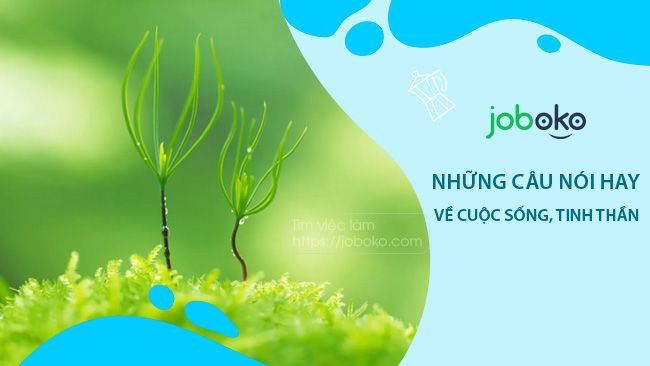 Những câu nói hay về cuộc sống, tinh thần