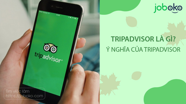 tripadvisor