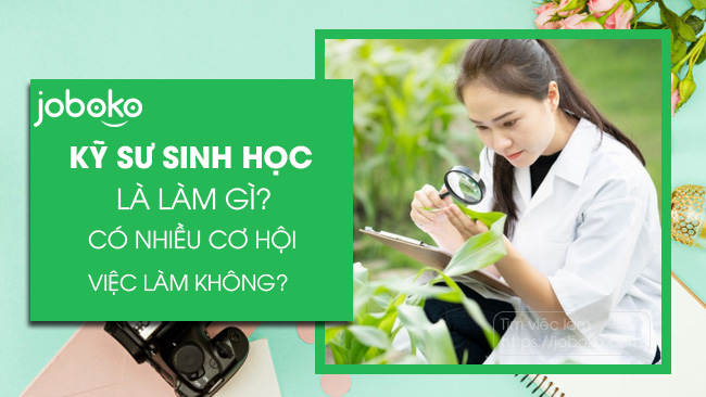 ky su sinh hoc la lam gi co hoi viec lam