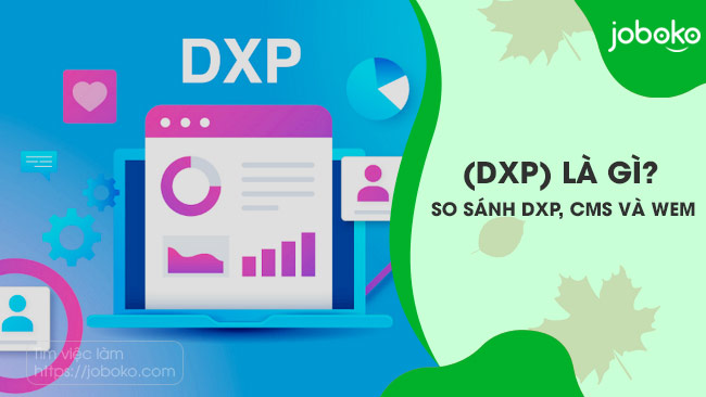 digital experience platform dxp la gi so sanh dxp cms va wem